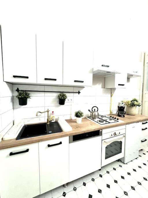 L3 City Centre Stylish Flat Ac Budapeszt Zewnętrze zdjęcie